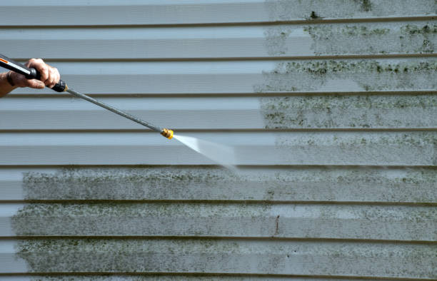 Professional Pressure Washing Services in Silver Springs, FL