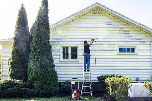 Best Driveway Pressure Washing  in Silver Springs, FL